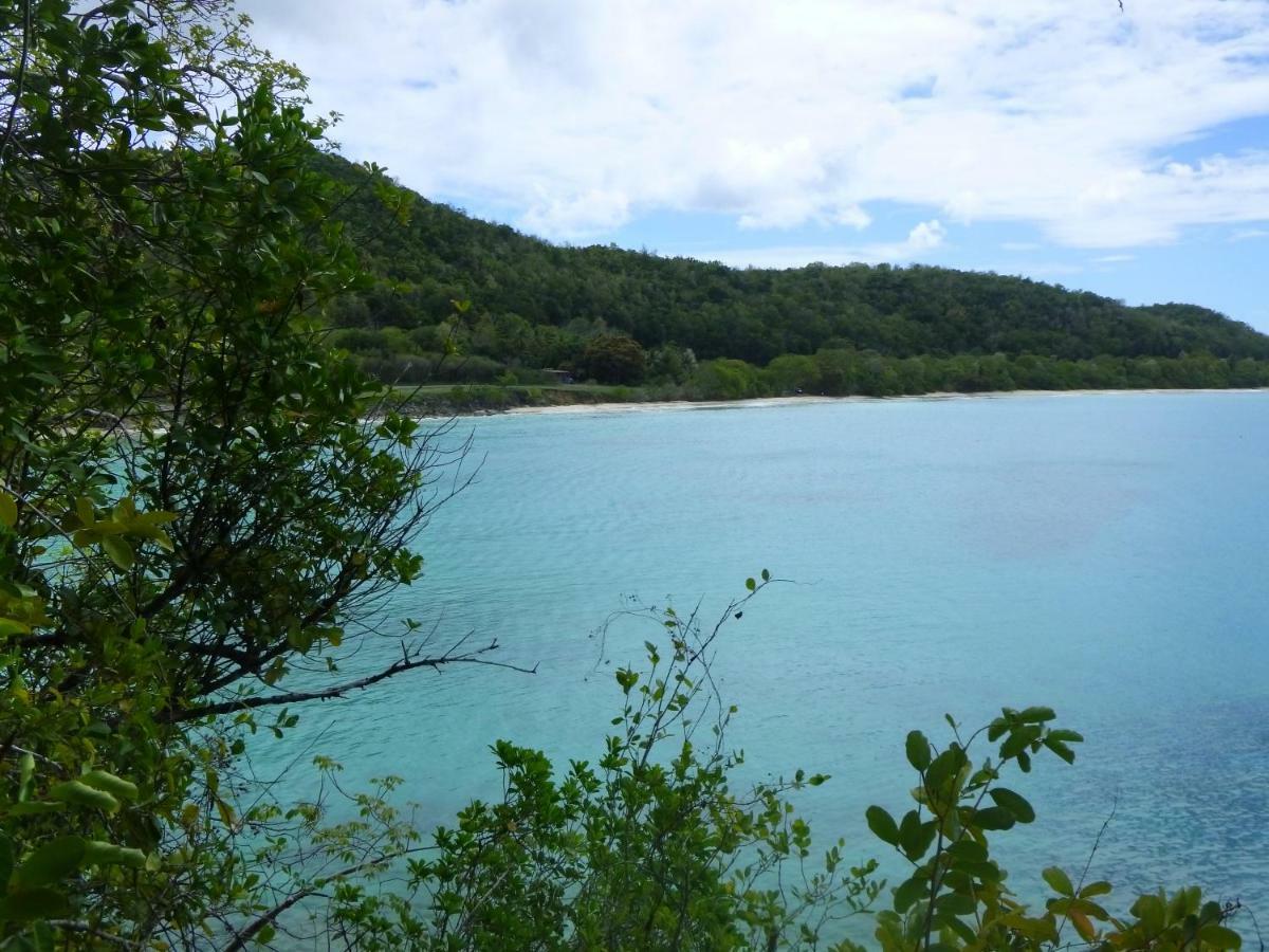 Les Gites Kajou Bouillante Bagian luar foto